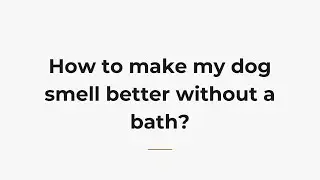 How to make my dog smell better without a bath?