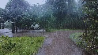 Rainy Walk Through a Working Class Neighborhood Under My Umbrella