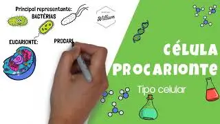RESUMO C&eacute;lula Procarionte