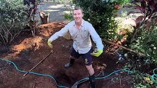 How to build your own frog pond