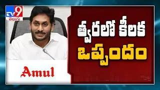 AP Govt to sign MoU with Amul for development of dairy sector - TV9