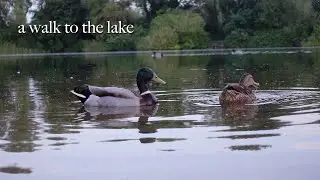 a walk to the lake - UEA