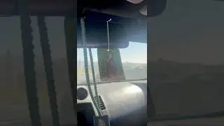 350z Hr vs Mach1 Mustang