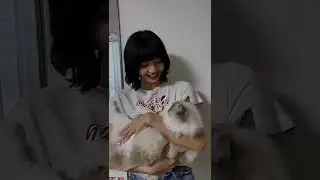 Lisa with cute cat #short#blackpink#lisa