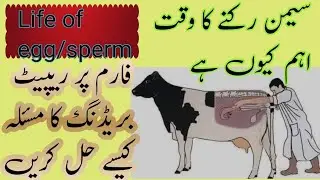 Time of Insemination/fertilization/age of ova/life of sperm and egg/embryonic death/embryo loss