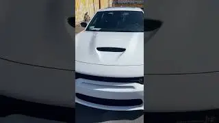 #widebodycharger #widebodyscatpack #widebodyscat #dodgecharger #chargerscatpack #chargerscatpack392
