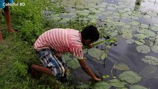 Live Worm Fishing | Kid Fishing with Worms, Hooks and Banana Leaf