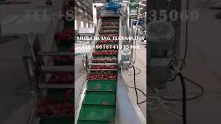 Dry Cleaning Washing Machine With Chili Peppers Spices