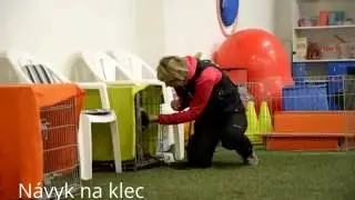 Ps&iacute; &scaron;količka DOG centrum