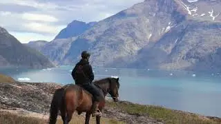 Horse Meditation Music 1 Hour Relax Horse Galloping on Beach, Relax, Best Sleep Horse Meditation