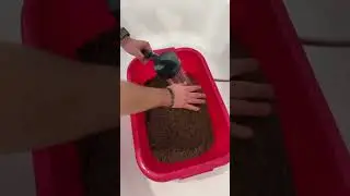 Allestimento acquario 100lt con pesci tropicali