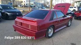 1981 Ford / MERCURY 