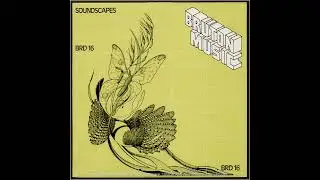 07 soundscape 7