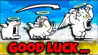Everything You Need to Know About Angels