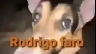 Feliz &Acirc;nus Novo