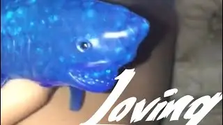 New squishy/ Shark / Lights / Baileys Channel / orbeez shark