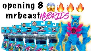 Mr Beast Hybrids unpacking