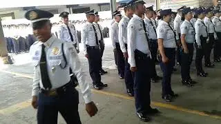 sosia drill crame(3)