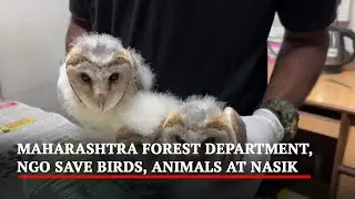 Maharashtra Forest Department, NGO Save Birds, Animals At Nasik