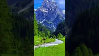 Basho medows skardu valley