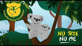 Save the Koala Animation | Me & Mum