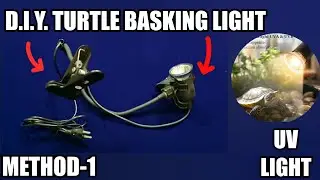 Make D.I.Y Turtle Basking Lamp Light Easily At Home  | D.I.Y. Turtle UV Light