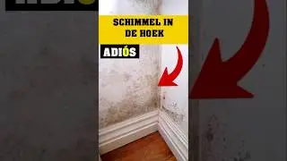 Schimmel in de hoek.