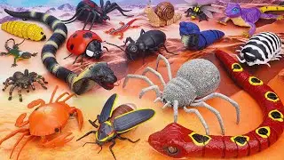 ZURU ROBO ALIVE COLLECTION | UNBOXING Robo Tarantula Spider, Robo Naja Cobra Snake, Robo Crab | ASMR