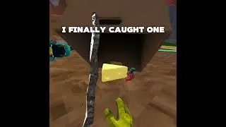 I got one