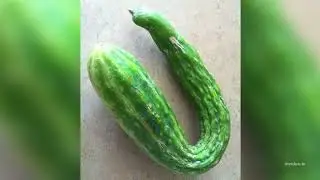 Pickle Finance Price Prediction 2022, 2025, 2030  PICKLE Price Forecast  Cryptocurrency Price Predic