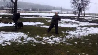 Nagy z Kmene Čerok&yacute; hladk&eacute; - ringo