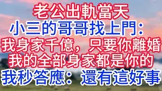 老公出軌當天，小三的哥哥找上門：我身家千億，只要你離婚，我的全部身家都是你的，我秒答應：還有這好事！#故事#言情小說#一口氣看完#爽文