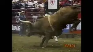 Boot Hill bucks Nick T. Buckley - 99 PBR Louisville