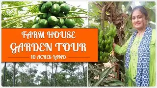 Farm House Garden Tour || Garden in 10 Acres Land || Anu&rsquo;s Amazing Vlog