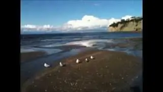 Long Bay Beach
