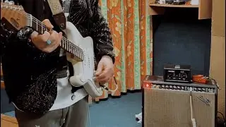 CRANKING a 1966 Pro Reverb ~ TONE