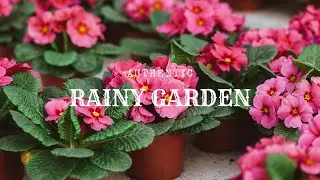 Botanical Garden Rain | Relaxing Ambient Nature Sounds