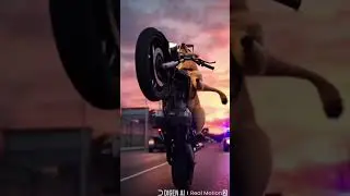 Dog on a Bike &ndash; Funny Chase with Cop | Hollywood Action Comedy Short