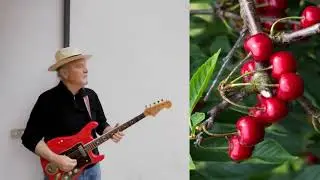 CILIEGI ROSA-Louiguy-Chitarra SANTI PANICHI gruppo CRISTINA BAND