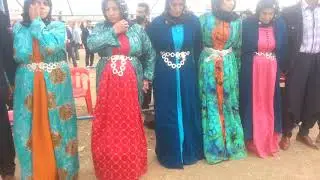 ŞeyhanLı Aşiret Düğünü Yok Böyle Düğün PART 1