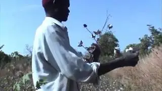 Mali  Sélingué