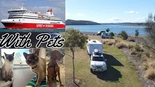 Tasmania Devonport / Spirit of Tasmania from Melbourne with our Pets - Aussie Road Trip Family
