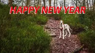 Happy New Year Everyone | PHOTOGRAPHY