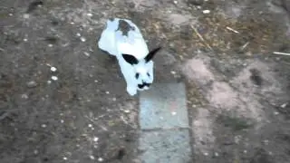 Bandit Binky