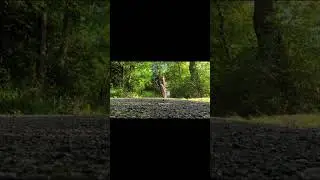 Insane 690ccm Sound in the Woods!
