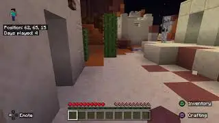 Minecraft - the lone survivor