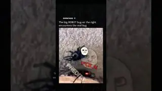 Monster vs Machine  #animals #foryou #fight #anime #trollface #edits #memes credits to  @sixpathsss
