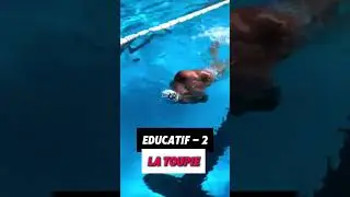 3 &eacute;ducatifs en crawl pour affiner ta technique