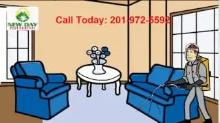 Pest control NJ | New day pest control  !  Protect your family from unwanted pests!