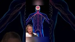 7 tekenen dat je een magnesiumtekort hebt #fyp #shilajit #gezondheid #voeding